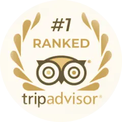 TripAdvisor
