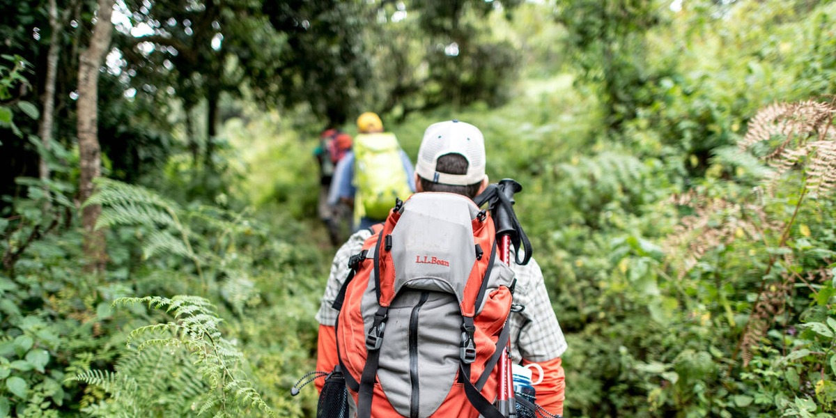 Big Tree Camp - Gallery Image 2