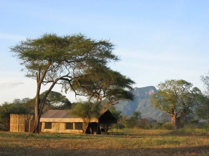 Bab's Camp Mkomazi - Gallery Image 3