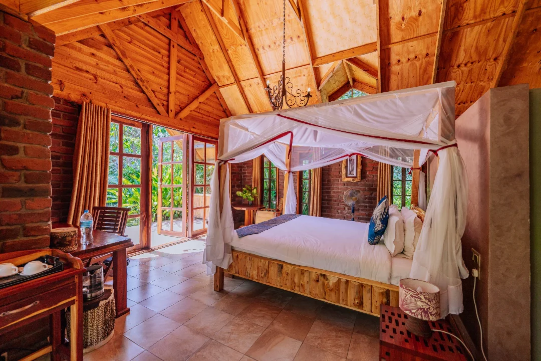 Under the Shade - Gallery Image 1