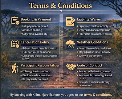 Terms and Conditions