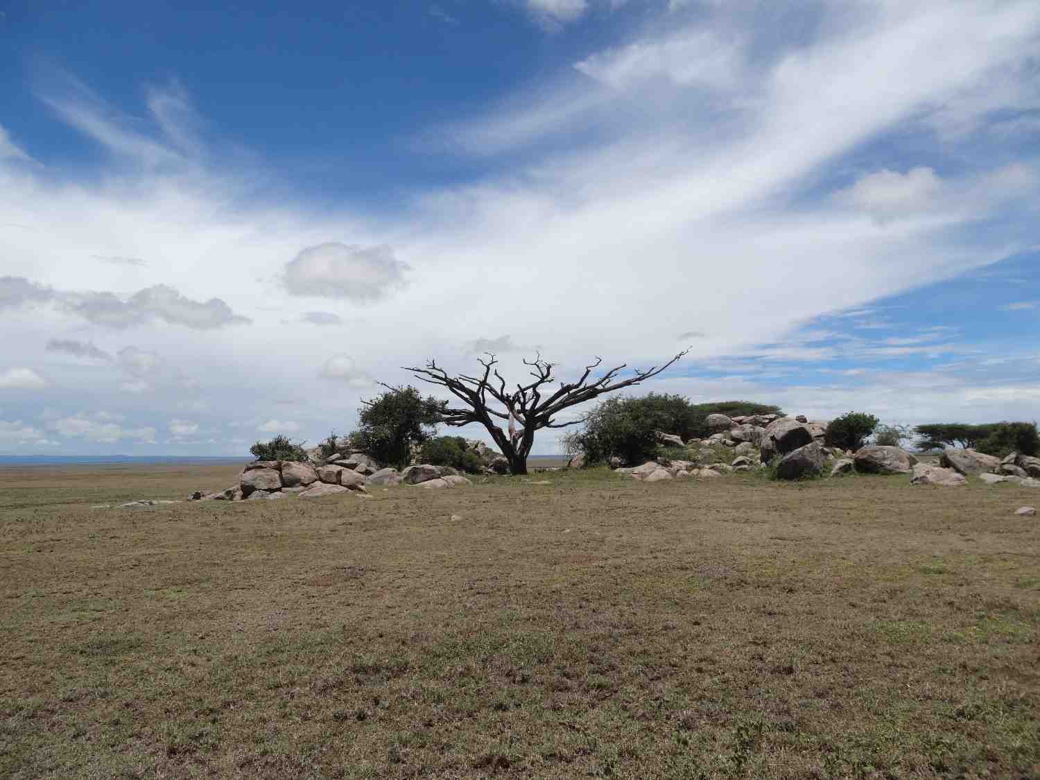 Moru Kopjes and Granite Outcrops