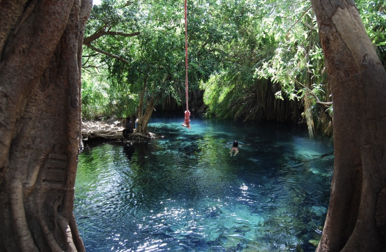 Kikuletwa Hotsprings