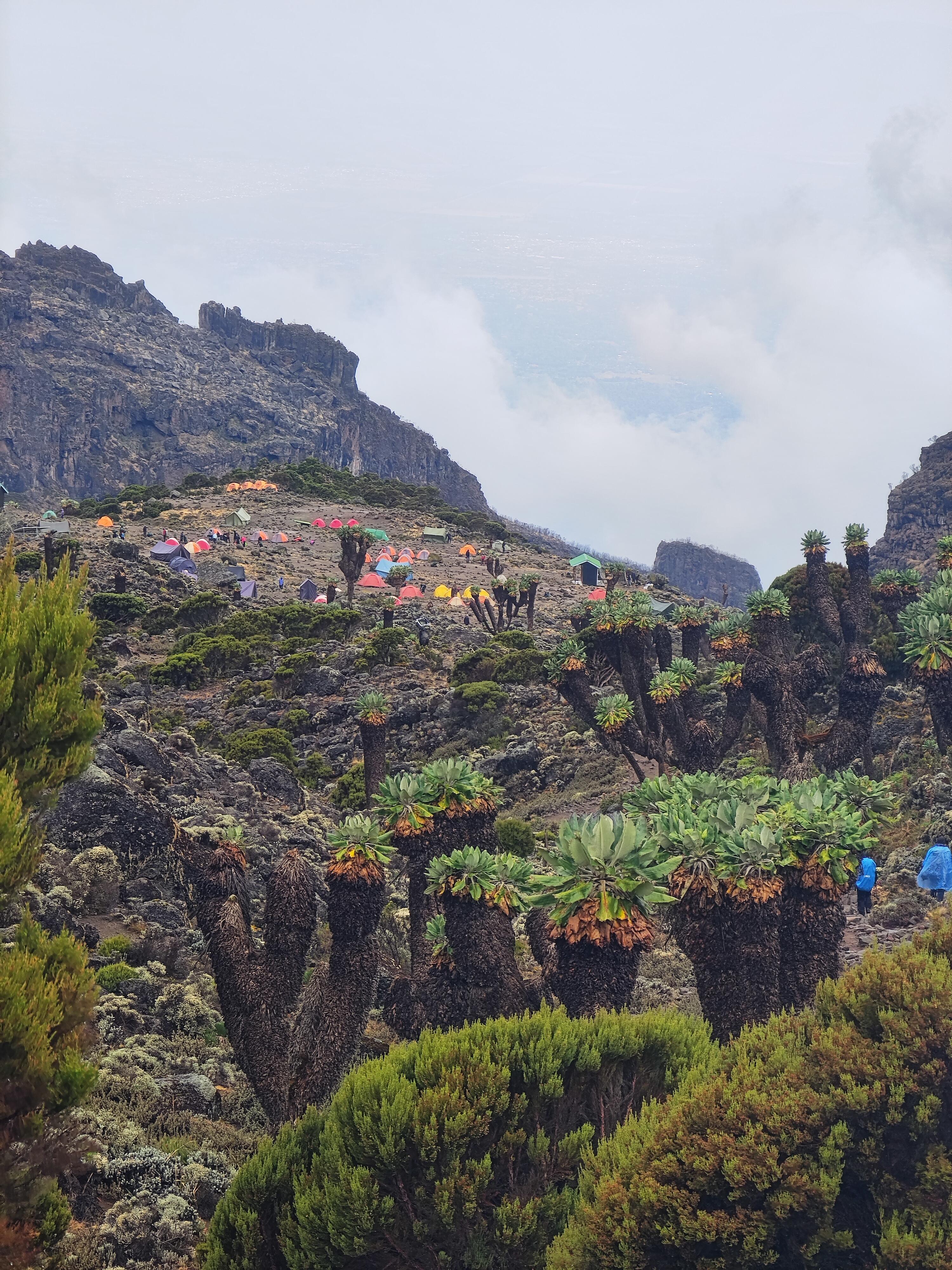 Kilimanjaro National Park