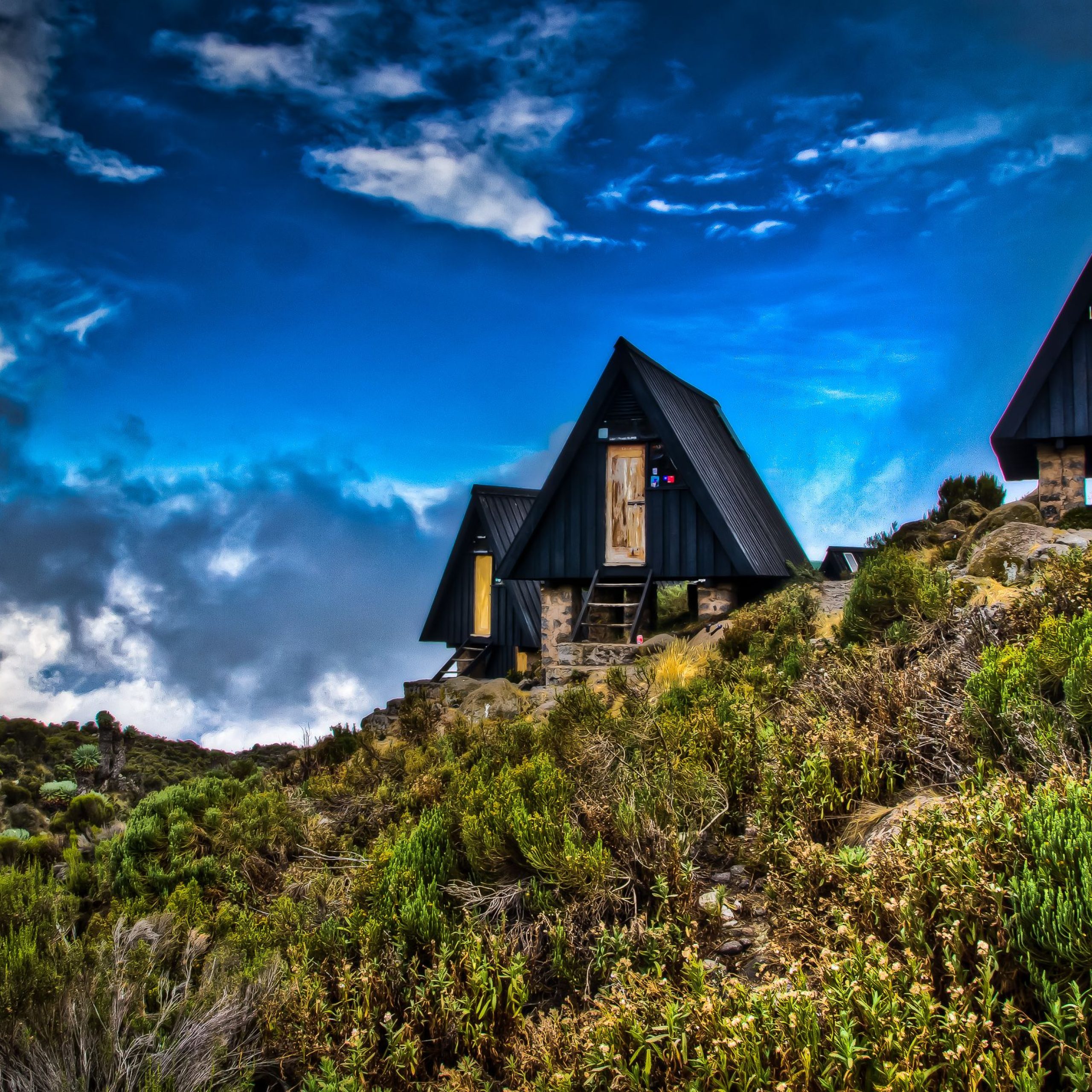 Kilimanjaro National Park