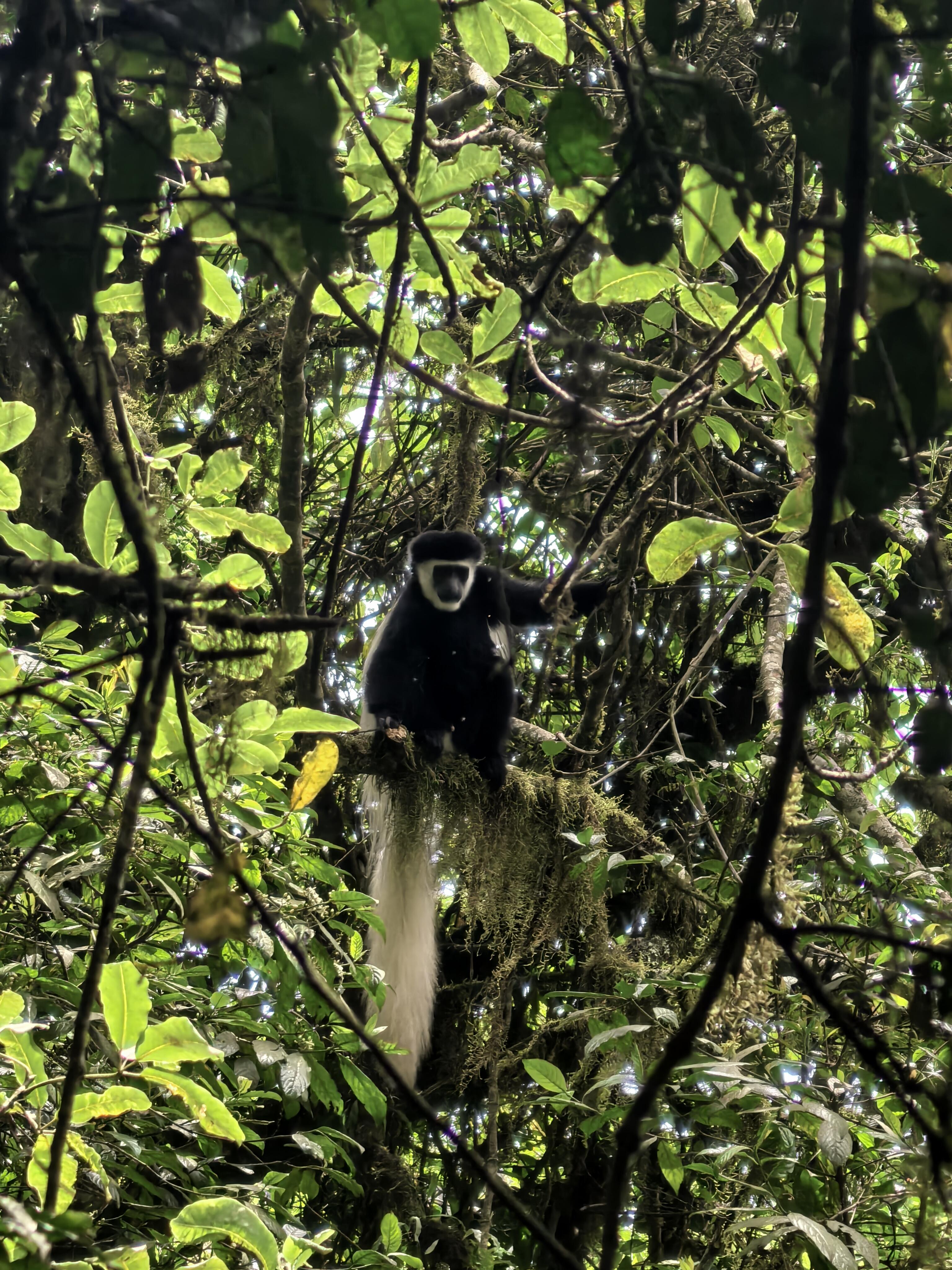 Kilimanjaro National Park