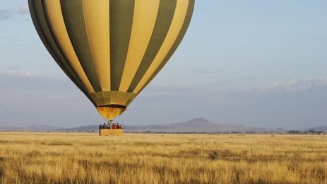 Hot air balloon flights