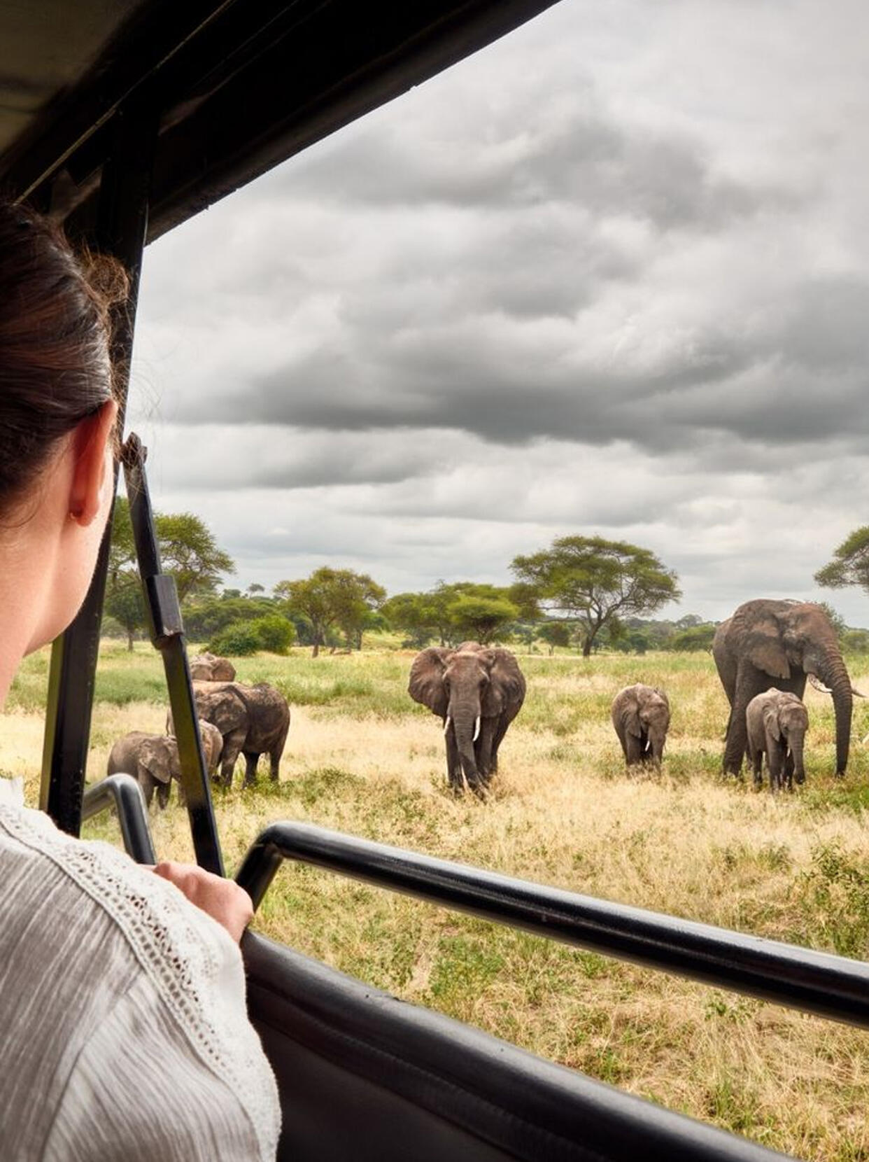 Excursions in Arusha