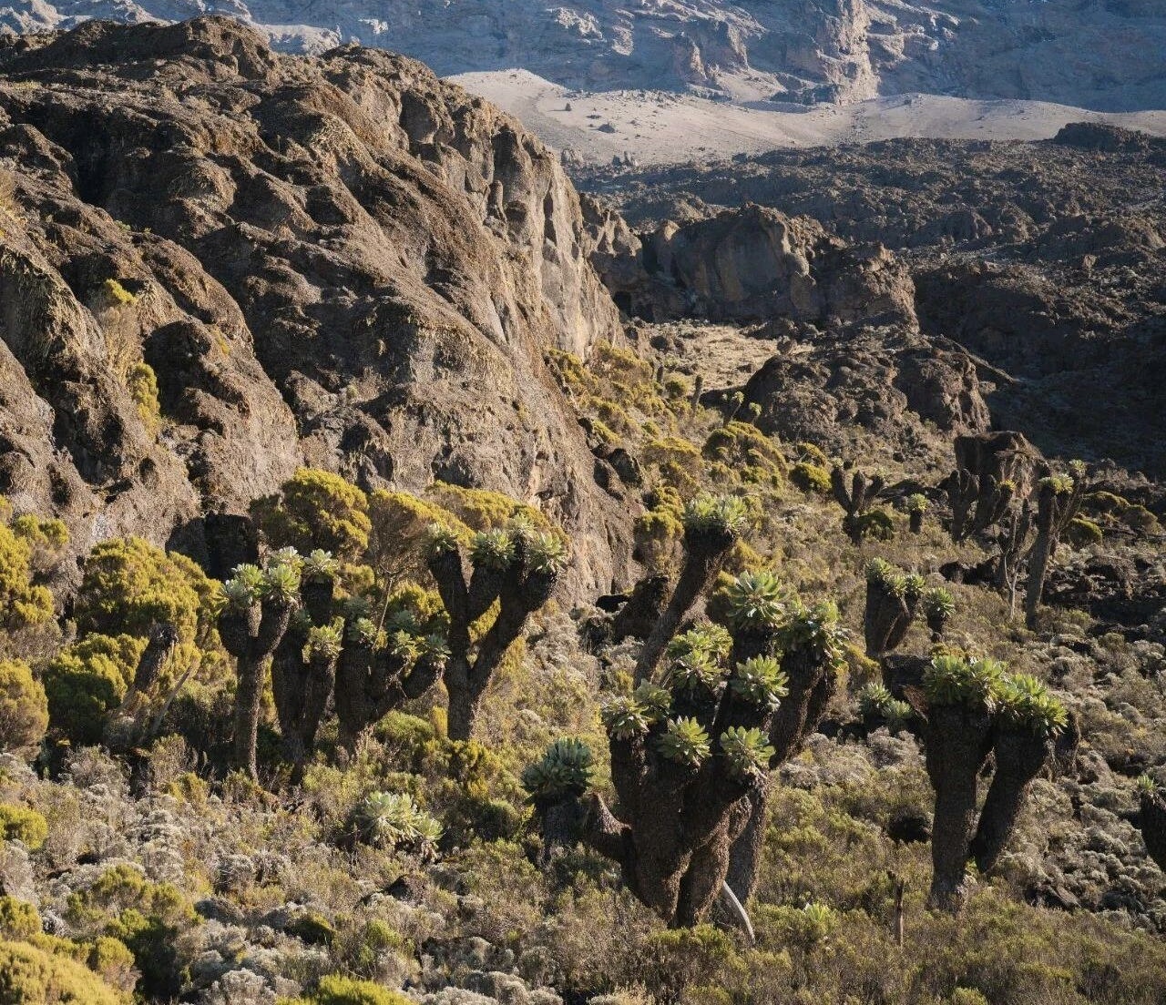 Machame Route - Image 2