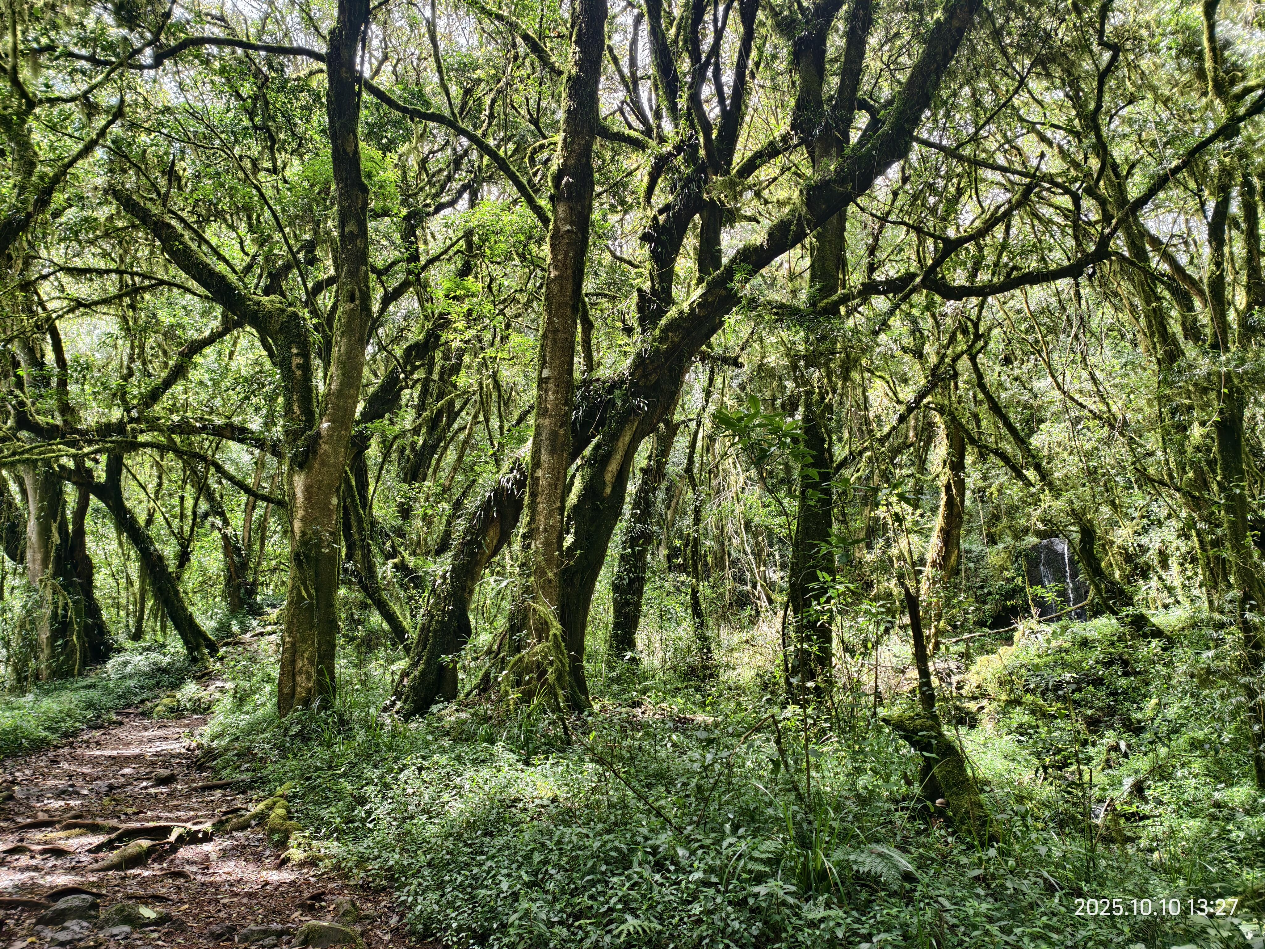 Marangu Route (Hut Accomodation) - Image 3