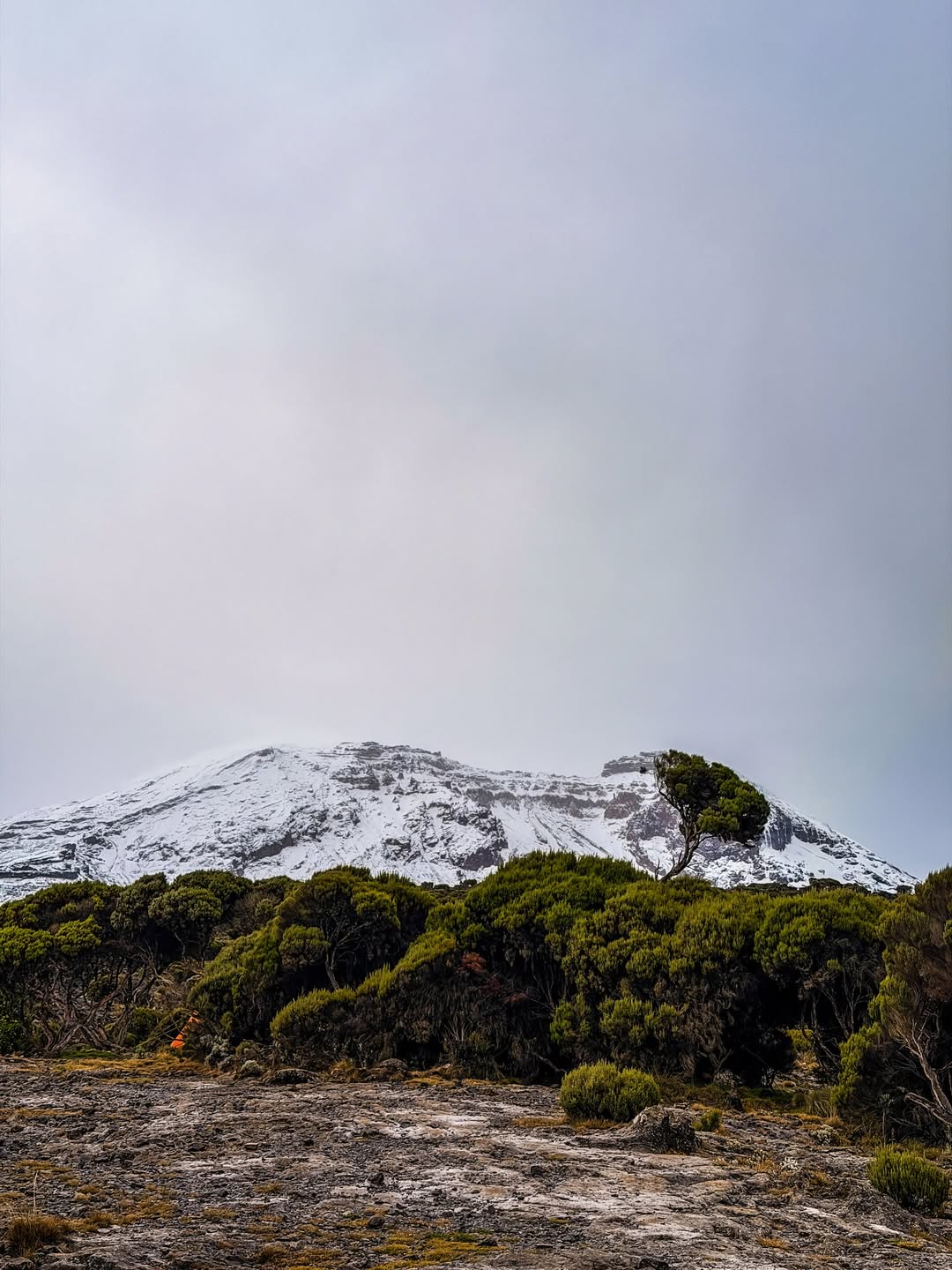 Marangu Trek (Hut Accommodation)