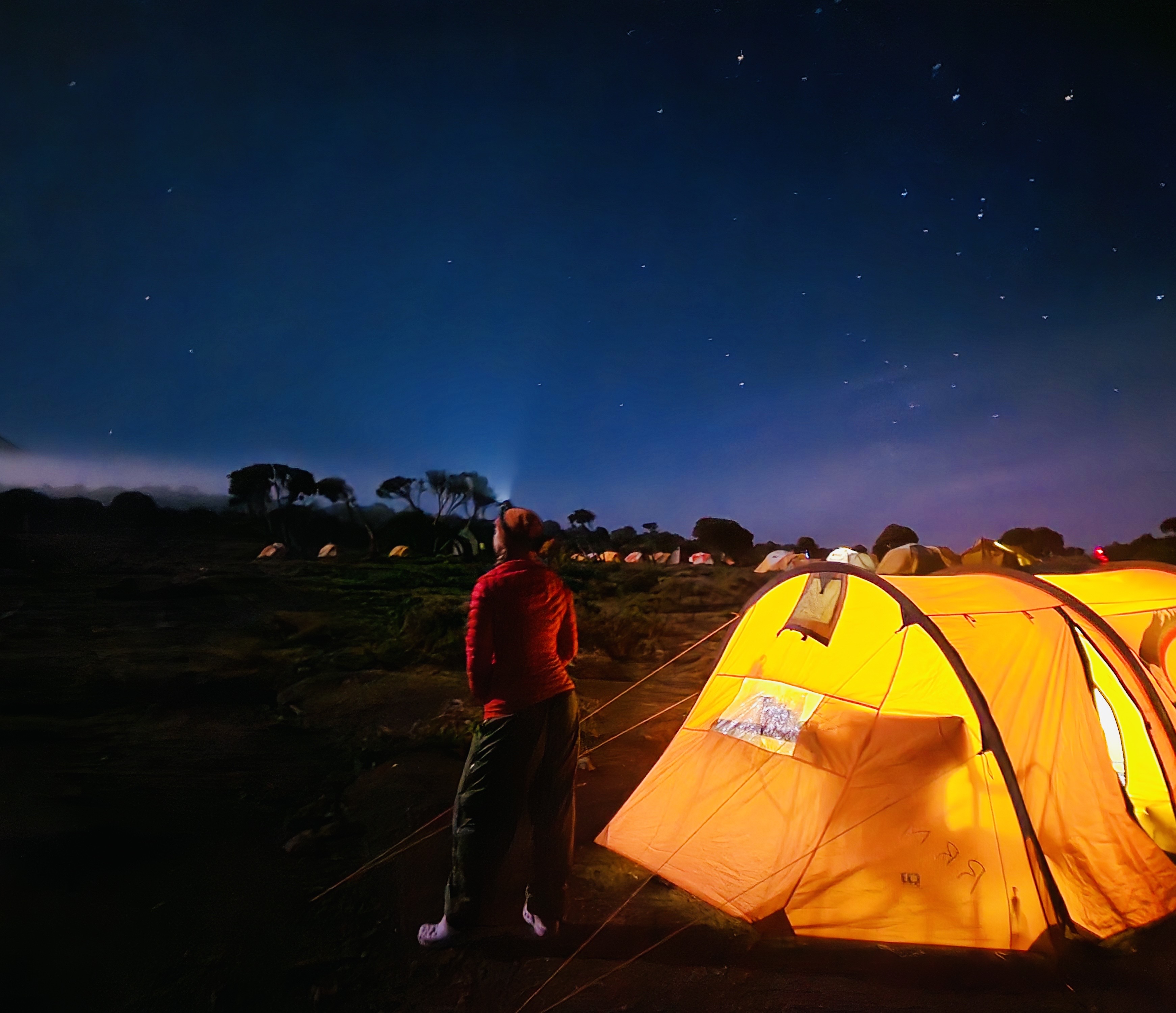 7 Days Lemosho Route