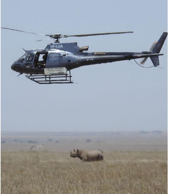 Northern Rift Scenic Flight - Serengeti & Oldonyo Lengai