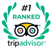TripAdvisor #1 Ranked 2034 Reviews